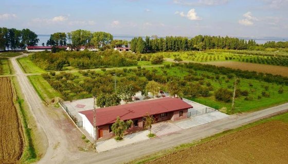 YALOVA ORMAN VE TARIM BAKANLIĞI ARAŞTIRMA ENST.MÜZE VE ÇELİK ÇATI PROJESİ